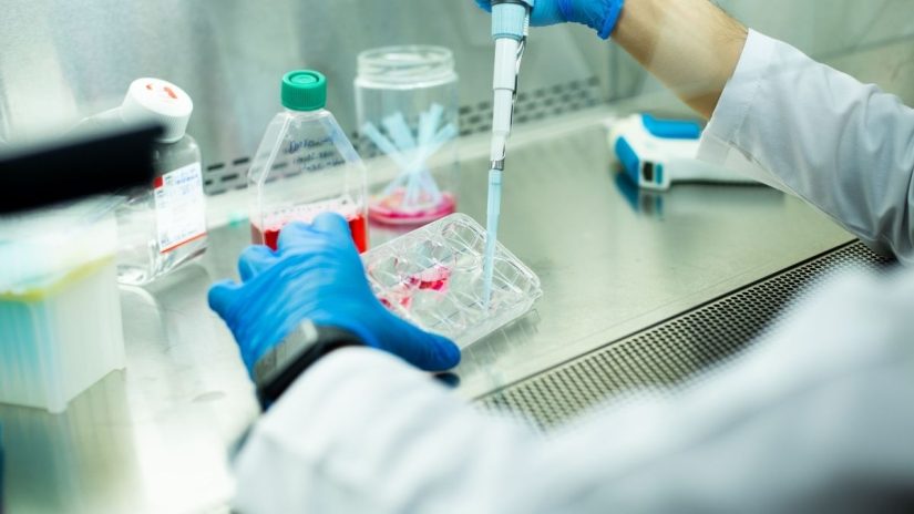 The hidden messenger in our cells